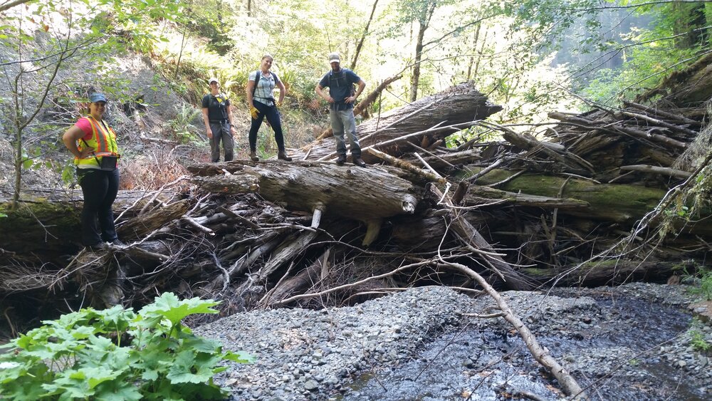 Partnership for the Umpqua Rivers Restoration Program